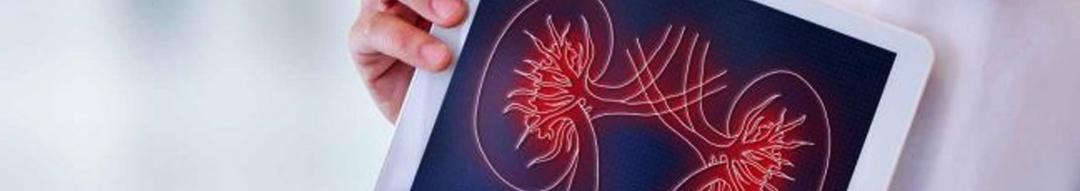 Seis maneras de proteger los riñones al prescribir litio